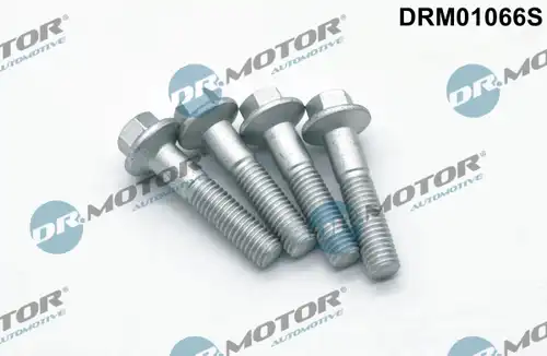 болт, дюьодържач Dr.Motor Automotive DRM01066S