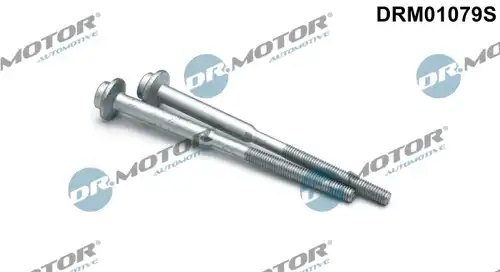 болт, дюьодържач Dr.Motor Automotive DRM01079S