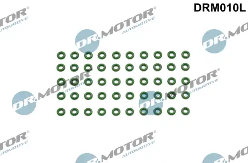 Дихтунг, дюзодържач Dr.Motor Automotive DRM010L