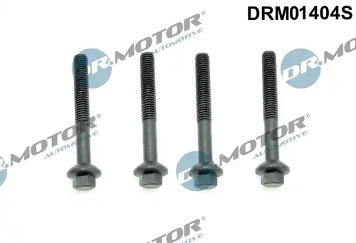 болт, дюьодържач Dr.Motor Automotive DRM01404S