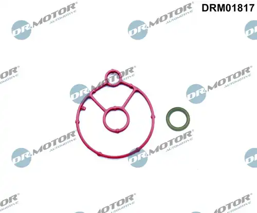 комплект гарнитури, маслен радиатор Dr.Motor Automotive DRM01817