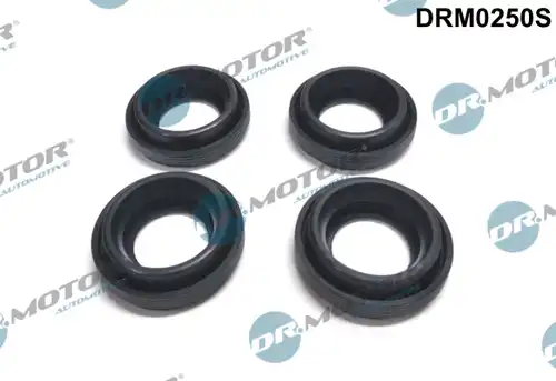 уплътнение, дюзодържач Dr.Motor Automotive DRM0250S