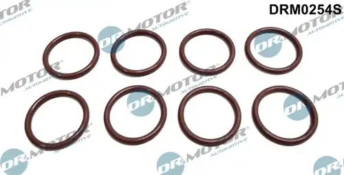 Дихтунг, дюзодържач Dr.Motor Automotive DRM0254S