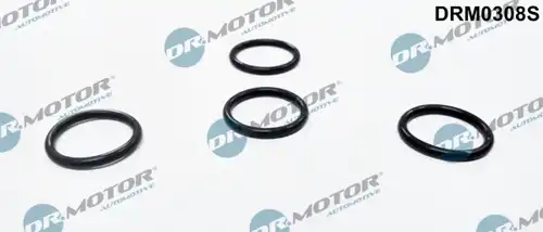 Дихтунг, дюзодържач Dr.Motor Automotive DRM0308S