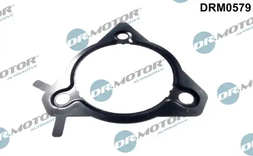 уплътнение, впръскваща помпа Dr.Motor Automotive DRM0579