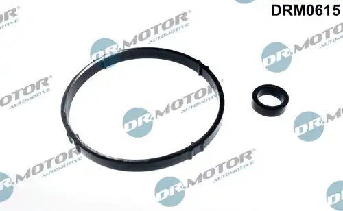 комплект гарнитури, маслен радиатор Dr.Motor Automotive DRM0615