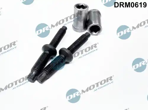 болт, дюьодържач Dr.Motor Automotive DRM0619