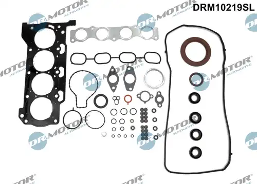 пълен комплект гарнитури, двигател Dr.Motor Automotive DRM10219SL