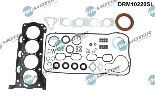 пълен комплект гарнитури, двигател Dr.Motor Automotive DRM10220SL