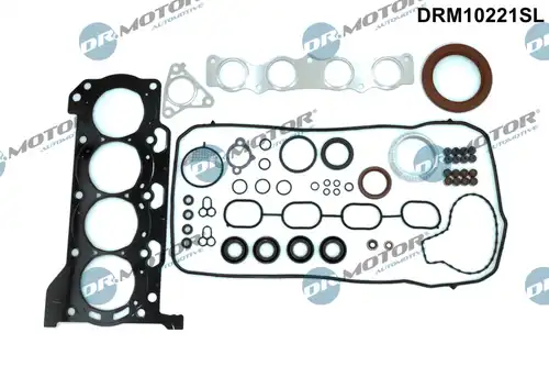 пълен комплект гарнитури, двигател Dr.Motor Automotive DRM10221SL