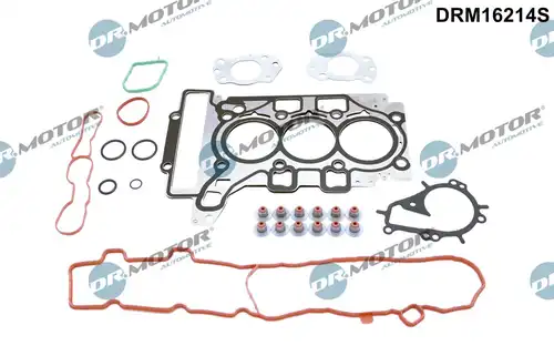 пълен комплект гарнитури, двигател Dr.Motor Automotive DRM16214S