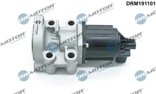 AGR-Клапан Dr.Motor Automotive DRM191101