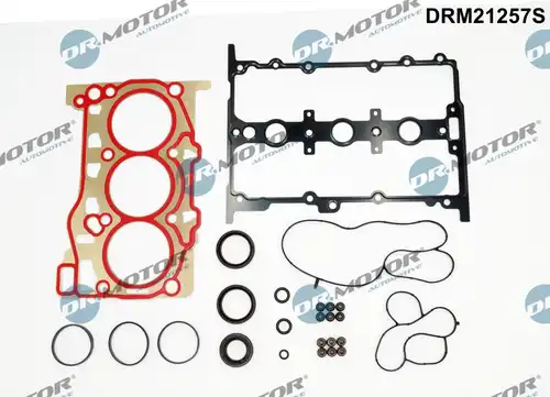 пълен комплект гарнитури, двигател Dr.Motor Automotive DRM21257S