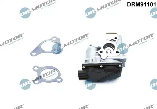 AGR-Клапан Dr.Motor Automotive DRM91101