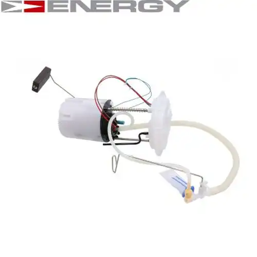  ENERGY G30081