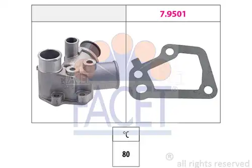 термостат, охладителна течност FACET 7.8125