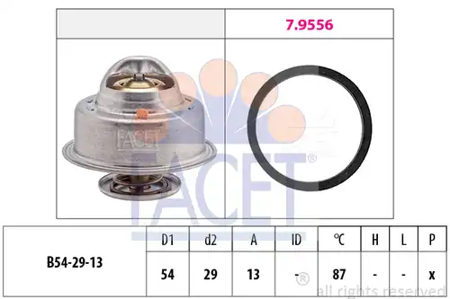 термостат, охладителна течност FACET 7.8211