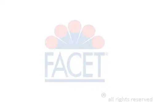 запалителна бобина FACET 9.6485