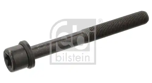 болт на капака на клапаните (на цилиндровата глава) FEBI BILSTEIN 06543