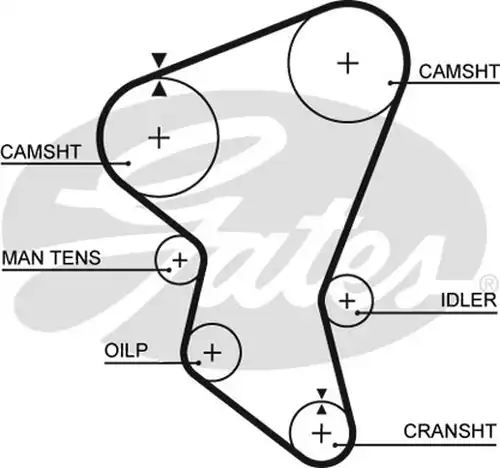Ангренажен ремък GATES 5171XS