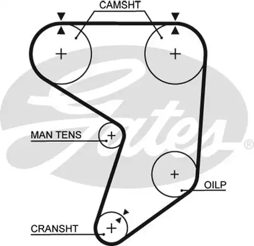 Ангренажен ремък GATES 5195XS