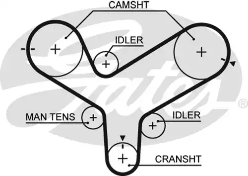 Ангренажен ремък GATES 5342XS