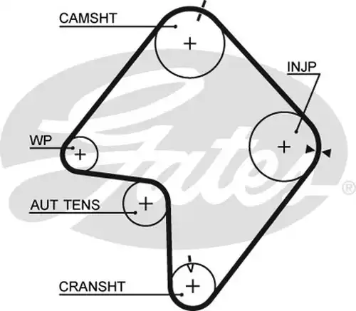 Ангренажен ремък GATES 5355XS
