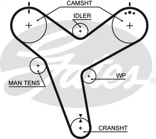 Ангренажен ремък GATES 5380XS