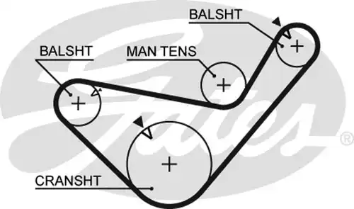 Ангренажен ремък GATES 5456XS