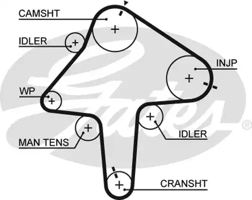 Ангренажен ремък GATES 5482XS