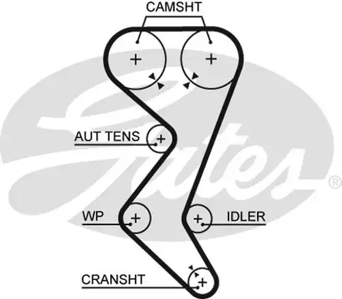 Ангренажен ремък GATES 5528XS