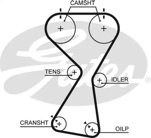 Ангренажен ремък GATES 5534XS