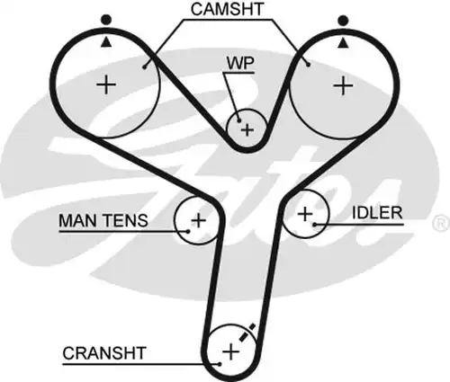 Ангренажен ремък GATES 5536XS