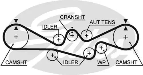 Ангренажен ремък GATES 5537XS