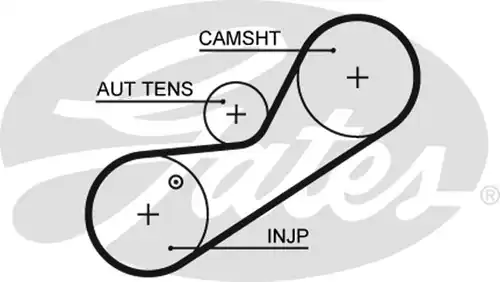 Ангренажен ремък GATES 5546XS