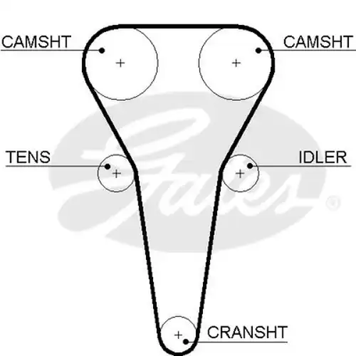 Ангренажен ремък GATES 5567XS