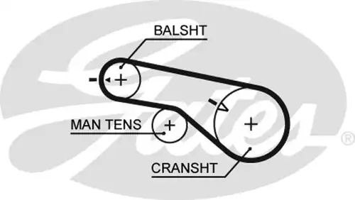 Ангренажен ремък GATES 5570XS
