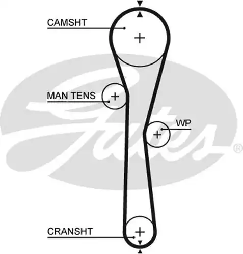 Ангренажен ремък GATES 5577XS