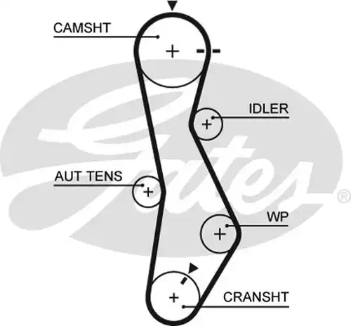 Ангренажен ремък GATES 5579XS