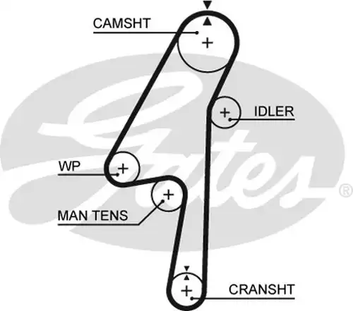Ангренажен ремък GATES 5580XS