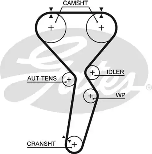 Ангренажен ремък GATES 5585XS