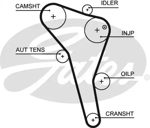 Ангренажен ремък GATES 5622XS