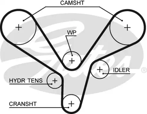Ангренажен ремък GATES 5636XS
