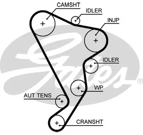 Ангренажен ремък GATES 5661XS