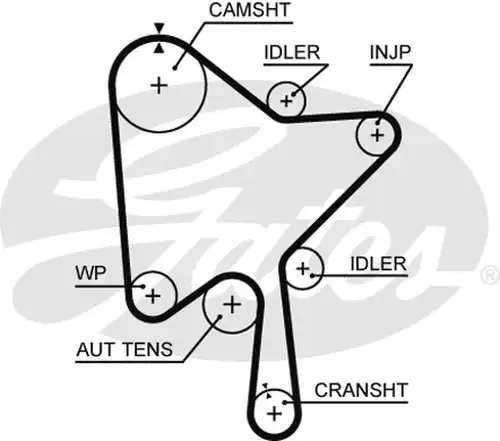 Ангренажен ремък GATES 5686XS