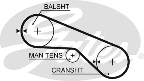 Ангренажен ремък GATES T280