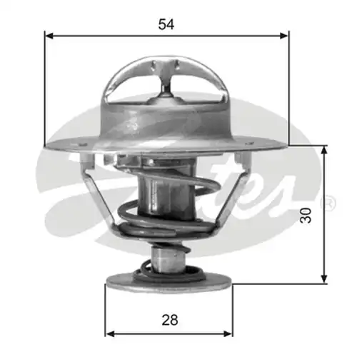 термостат, охладителна течност GATES TH02491G1