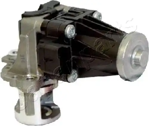 AGR-Клапан JAPANPARTS EGR-0308