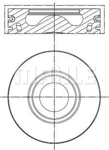 бутало MAHLE 013 PI 00136 000