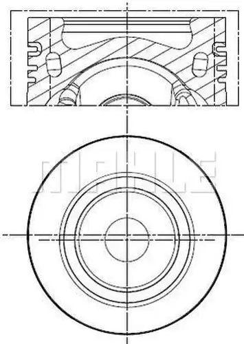 бутало MAHLE 028 PI 00141 000